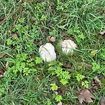 Pod Javorem Villa Frymburk