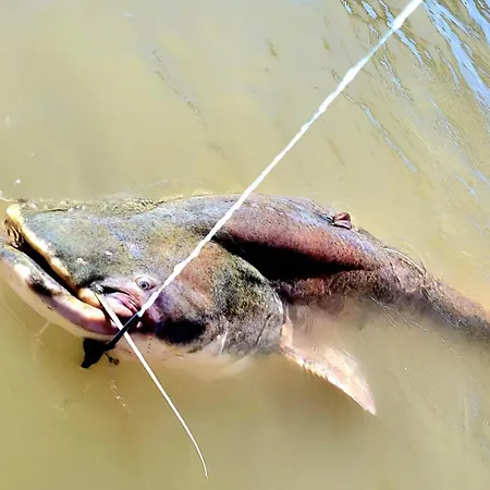 וילה Pod Javorem *